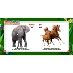 Thumbnail Sách Cùng Bé Khám Phá Thế Giới Xung Quanh Động Vật Sách Song Ngữ (Bìa cứng) 2
