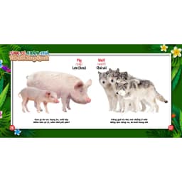 Thumbnail Sách Cùng Bé Khám Phá Thế Giới Xung Quanh Động Vật Sách Song Ngữ (Bìa cứng) 3