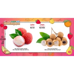 Thumbnail Sách - Cùng Bé Khám Phá Thế Giới Xung Quanh Trái Cây Sách Song Ngữ (Bìa Cứng) 2