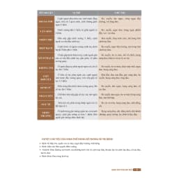 Thumbnail Sách - Đồ giải kinh lạc huyệt vị cơ thể (mềm) 3