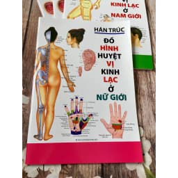 Thumbnail Sách - Đồ hình huyệt vị kinh lạc ở nữ giới - Tác giả Hán Trúc (Minh Lâm) 1