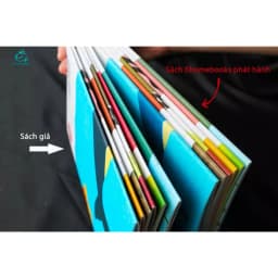 Thumbnail Sách Ehon Nhật Bản - Combo 6 cuốn Ai ở sau lưng bạn thế - Dành cho bé 0-3 tuổi 3