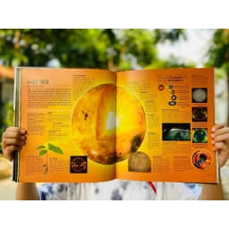 Thumbnail Sách Khám Phá Bí Ẩn Không Gian - Hành Trình Xuyên Không Gian Khám Phá Vũ Trụ Với Hình Ảnh Đặc Sắc 4