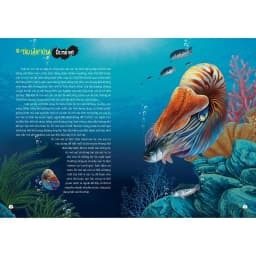 Thumbnail Sách - Khám Phá Thế Giới Động Vật Kì Thú: Thế Giới Của Các Loài Vật Kì Quái 1