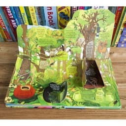 Thumbnail Sách - Look Inside Jungle Usborne - Tiếng Anh Lật Mở Bí Ẩn Khám Phá Khu Rừng Dành Cho Bé Tiểu Học 2