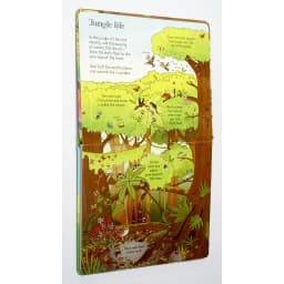 Thumbnail Sách - Look Inside Jungle Usborne - Tiếng Anh Lật Mở Bí Ẩn Khám Phá Khu Rừng Dành Cho Bé Tiểu Học 3