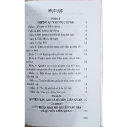 Thumbnail Sách - Luật Sở Hữu Trí Tuệ (Sửa đổi, bổ sung năm 2009, 2019, 2022) 1
