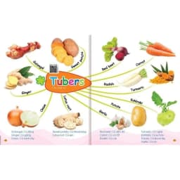 Thumbnail Sách - Mindmap Chinh phục từ vựng Tiếng Anh theo sơ đồ tư duy Mind map cho bé Đánh vần tập viết 2