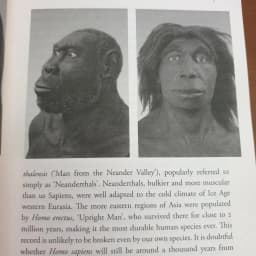 Thumbnail Sách Ngoại văn: Sapiens: A Brief History Of Humankind 2