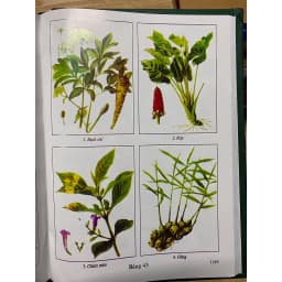 Thumbnail Sách - Những Cây thuốc và vị thuốc Việt Nam 3