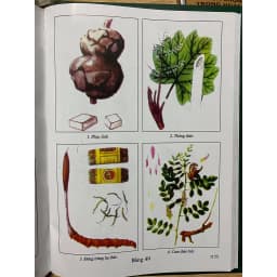 Thumbnail Sách - Những Cây thuốc và vị thuốc Việt Nam 4