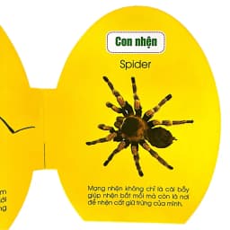 Thumbnail Sách - Quả Trứng Đáng Yêu Của Bé - Côn trùng - Động vật hoang dã - Đồ vật (lẻ tùy chọn) 3