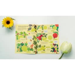 Thumbnail Sách - Sách dán hình đầu đời cho bé - First Stiker book ( Lẻ 1 quyển ) 3