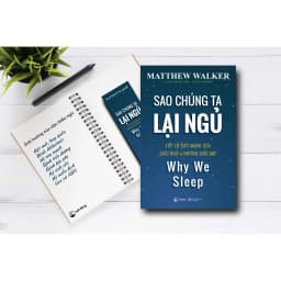 Thumbnail Sách - Sao Chúng Ta Lại Ngủ - Matthew Walker (Hải Đăng) 3