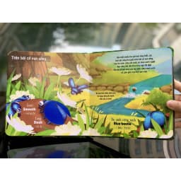 Thumbnail Sách Sờ chạm khám phá - Thế giới động vật - Một ngày giữa thiên nhiên 3