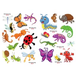 Thumbnail Sách - Sticker dán hình thông minh - Côn Trùng, Bò Sát, Lưỡng Cư (VT) 2