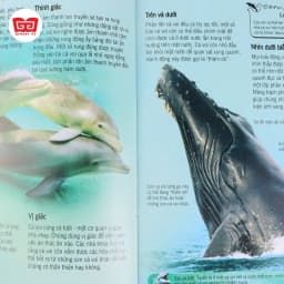 Thumbnail Sách thiếu nhi - Bách khoa tri thức về khám phá thế giới cho trẻ em (nhiều chủ đề) 2