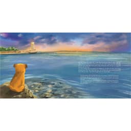 Thumbnail Sách Trường Sa - biển ấy là của mình, sách cho trẻ, Casa Sunshine 4