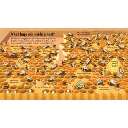 Thumbnail Sách Usborne - Look Inside the World of Bees - lật mở tương tác tìm hiểu về loài ong 3
