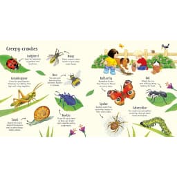Thumbnail Sách Usborne - Poppy and Sam's Nature Spotting Book - học tiếng anh qua thiên nhiên 4