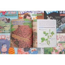 Thumbnail Sách - Wow, thì ra là thế - Khám phá khoa học cho trẻ từ 6 - 12 tuổi - Đinh Tị Books 4