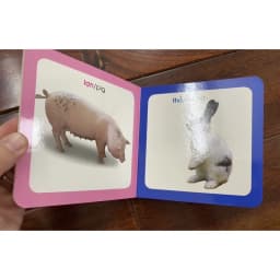 Thumbnail Sách-Từ điển hình ảnh cho bé ( chủ đề tự chọn) 4