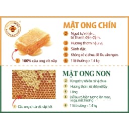 Thumbnail Set 2 chai tặng 1 chai: Mật ong chín Hoa Miền Núi Honimore 630g -100% mật ong rừng nguyên chất 2