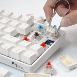 Thumbnail Set công tắc bàn phím cơ ROYAL KLUDGE màu đỏ/ nâu/ xanh dương thay thế thích hợp cho Cherry MX 4