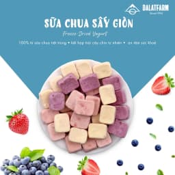 Thumbnail Sữa Chua Sấy Giòn DalatFarm - Hộp 100g 1
