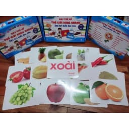 Thumbnail Thẻ học thông minh 16 chủ đề, Thẻ Flashcard Glenn Doman Khổ A5, Chống Thấm Nước, Thẻ Học A5 2