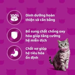 Thumbnail Thức ăn mèo Whiskas vị cá biển 7kg 2
