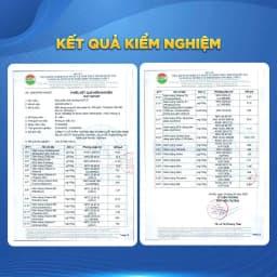 Thumbnail Thực Phẩm Dinh Dưỡng HIUP [COMBO 10 LON] Tăng Chiều, Cao Tăng Cân Cho Trẻ Từ 2 Đến 15 Tuổi Từ Hoa Kỳ - Lon 650g 3