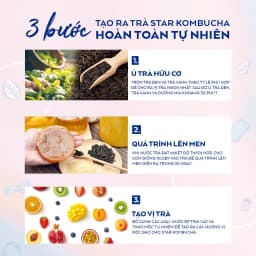 Thumbnail Thùng 12 lon trà lên men Star Kombucha mix 12 vị (250ml/lon) 2