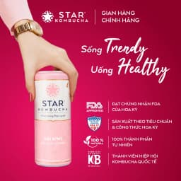Thumbnail Thùng 12 lon trà STAR KOMBUCHA Vải Kiwi / Lychee (250ml/lon) - Trà lên men vi sinh hỗ trợ tiêu hóa 2