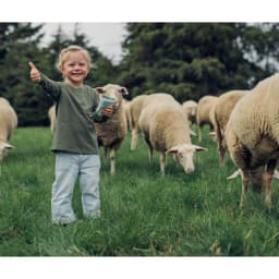 Thumbnail Thùng 12 Túi Sữa Cừu Nguyên Chất Spring Sheep New Zealand 350gr 3