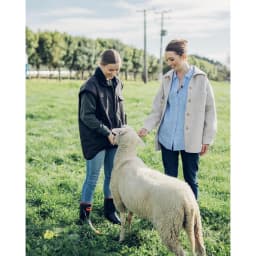 Thumbnail Thùng 8 Túi Sữa Cừu Nguyên Chất Spring Sheep New Zealand 850gr 1