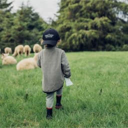 Thumbnail Thùng 8 Túi Sữa Cừu Nguyên Chất Spring Sheep New Zealand 850gr 4