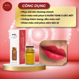 Thumbnail Tinh chất dưỡng kích màu môi sau phun xăm Vieskin GoldShine, collagen tươi kích màu sắc nét, tự nhiên, căng bóng, 7ml 3
