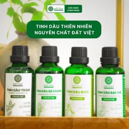 Thumbnail Tinh dầu nguyên chất Đất Việt - Hương Tràm Huế, Sả chanh, bưởi, Bạc hà (4 mùi) 1