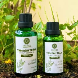 Thumbnail Tinh dầu nguyên chất Đất Việt - Hương Tràm Huế, Sả chanh, bưởi, Bạc hà (4 mùi) 4