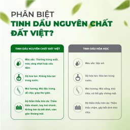 Thumbnail Tinh Dầu Thiên Nhiên Nguyên Chất Đất Việt 10ml, Tinh dầu Sả Chanh, Bạc Hà, Bưởi, Tràm, Quế 3