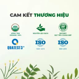 Thumbnail Tinh Dầu Thiên Nhiên Nguyên Chất Đất Việt 10ml, Tinh dầu Sả Chanh, Bạc Hà, Bưởi, Tràm, Quế 4