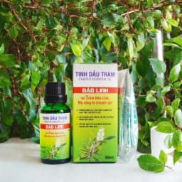 Thumbnail Tinh dầu tràm cho bé nguyên chất dung tích 10ml & 30ml - Tràm Bảo Linh tắm cho bé, giữ ấm, phòng cảm 4