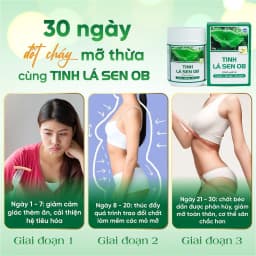 Thumbnail Tinh Lá Sen OB Detox Cần Tây, Lá Sen, Trà Xanh Hỗ Trợ Giảm Cân, Thon Dáng, Đẹp Da (Hộp 50g) 3