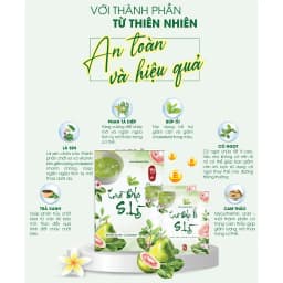 Thumbnail Trà Búp Ổi S.Lỳ TM PHARMA giúp tăng cường chuyển hóa chất béo hỗ trợ giảm cân giảm mỡ an toàn hiệu quả 4