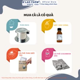 Thumbnail Trà Cascara Nguyên Chất B'LAO FARM Trà Từ Vỏ Quả Cà Phê Arabica Chín Giàu Chất Chống Oxy Hoá, Tăng Sự Tập Trung 4