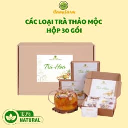 Thumbnail Trà Thảo Mộc, Trà Dưỡng Nhan, Trà Thanh Nhiệt Camifarm Hộp 30 Gói Đẹp Da, An Thần Dễ Ngủ, Thanh Nhiệt, Thon Gọn Dáng 1