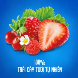 Thumbnail Trái Cây Nghiền bổ sung Vitamin, hỗ trợ tiêu hóa vị Nam việt quất, Dâu tây,Dâu rừng và Táo Agusha 80g/túi 4