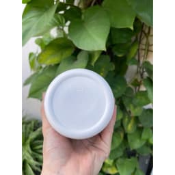 Thumbnail Viên uống bổ sung canxi kẽm, magie Kirkland Signature Calcium Citrate Magnesium and ZinC 500 viên 3