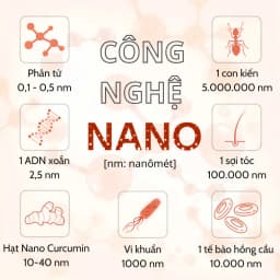 Thumbnail Viên uống tinh bột nghệ VTM NANO CURCUMIN giảm viêm loét dạ dày, hành tá tràng - túi 60 viên 4